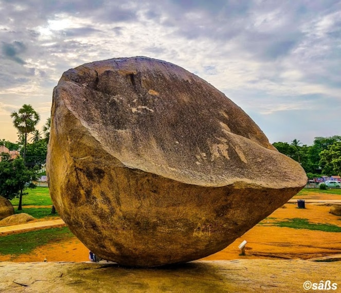 Krishna_s Butterball-5